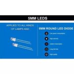Super Bright green LED 5MM - Image 2